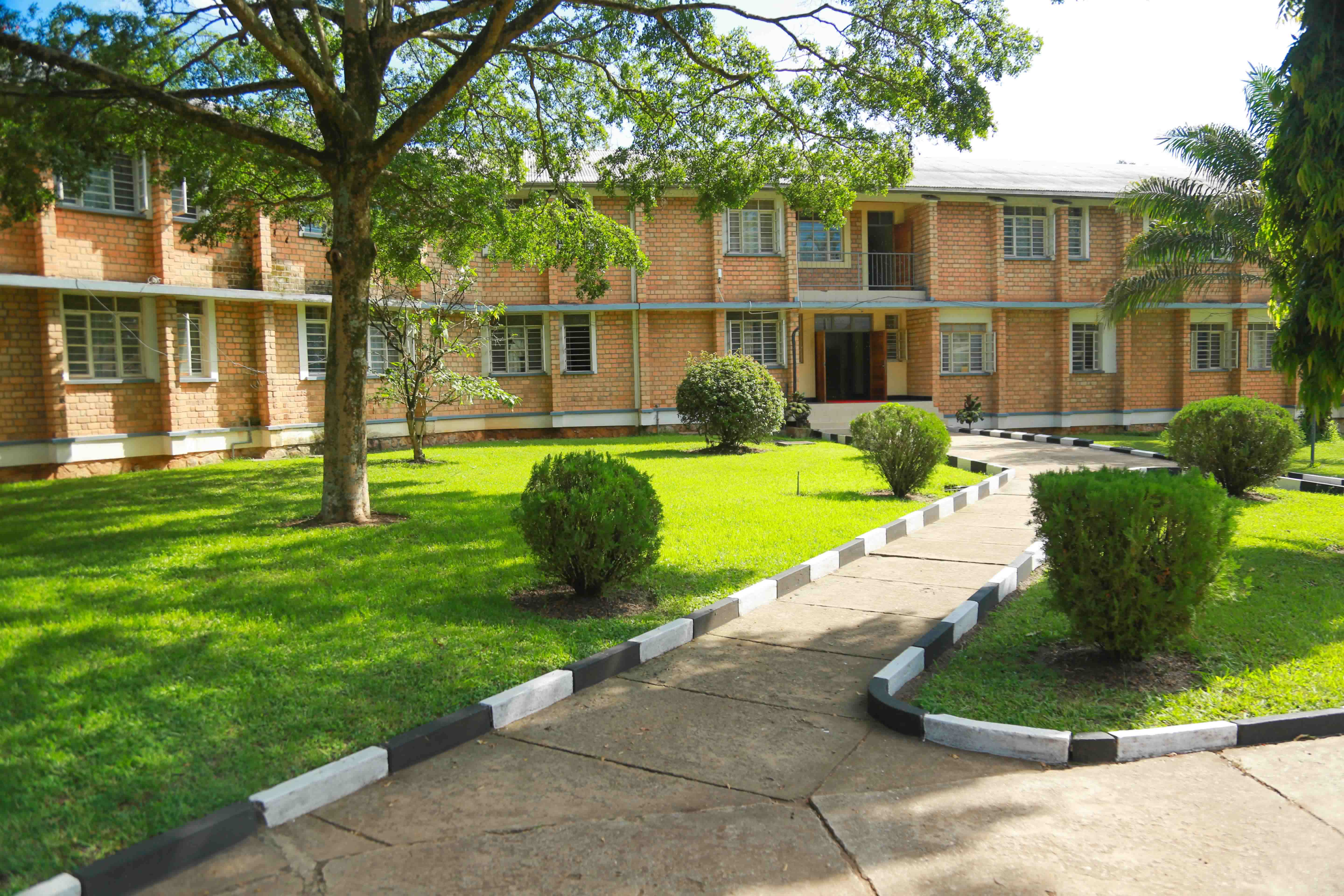 Illustrated ceremonial plaza